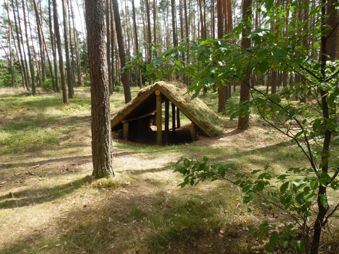 Atrakcje dla dzieci w Borach Tucholskich: 10 pomysłów na rodzinny wypoczynek