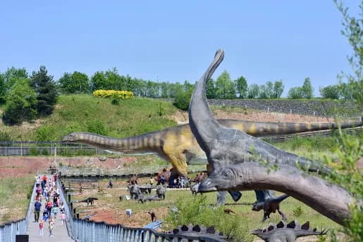 Niezapomniane atrakcje dla przedszkolaków w Opolu: 10 miejsc zabawy
