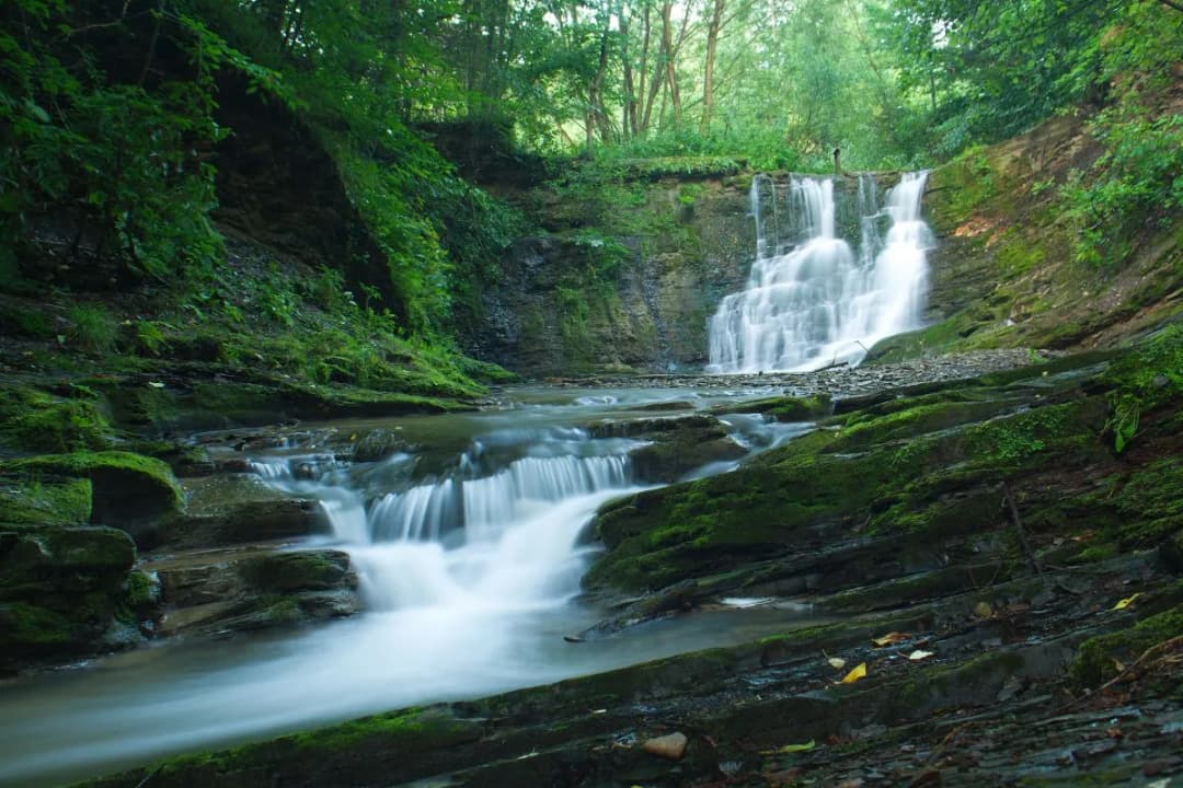 Magurski Park Narodowy: Co Warto Zobaczyć? 7 Naturalnych Cudów