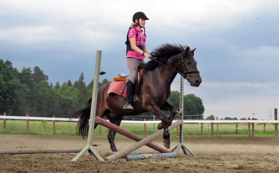 Klub Sportowy Equiright: najlepsze lekcje jazdy konnej w Warszawie
