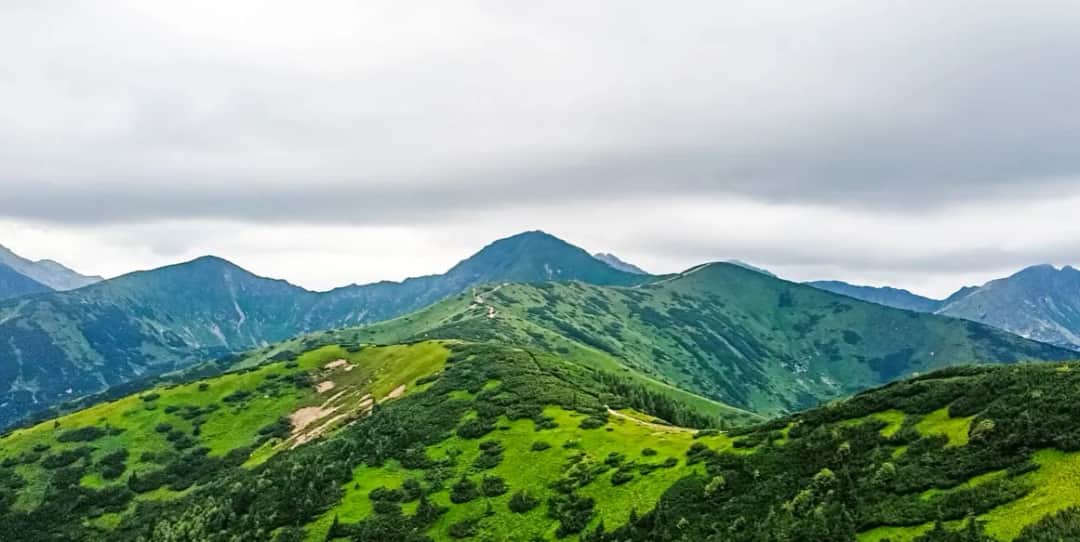 Grześ, Rakoń, Wołowiec: Malowniczy szlak w Tatrach Zachodnich