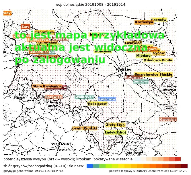Najlepsze miejsca gdzie na jagody dolny śląsk: mapy i lokalizacje 2025