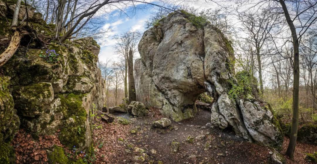 Rezerwat Sokole Góry: Przewodnik po jurajskiej perle co warto zobaczyć? Rezerwat Sokole Góry: Przewodnik po jurajskiej perle co warto zobaczyć?