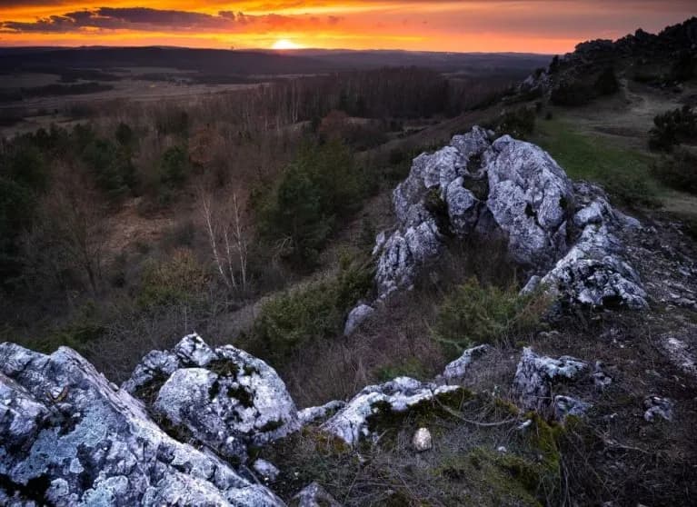 Babiogórski Park Narodowy: 7 Ciekawostek Które Cię Zaskoczą